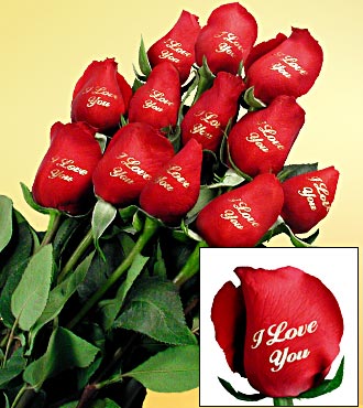 Send Flowers Online on Send Flowers Online  Roses  Glendale Florist  Hollywood  Los Angeles